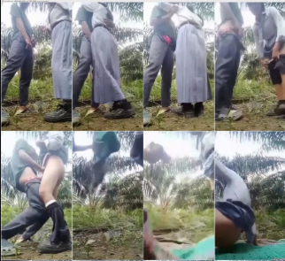 Viral Terbaru 2025 The Warmth Of Love Indo Viral Video Abg Seragam Bolos Sekolah Demi Merasakan Tarikan Nafas di Kebun Sawit Top Global Wikwik Hijab Inara